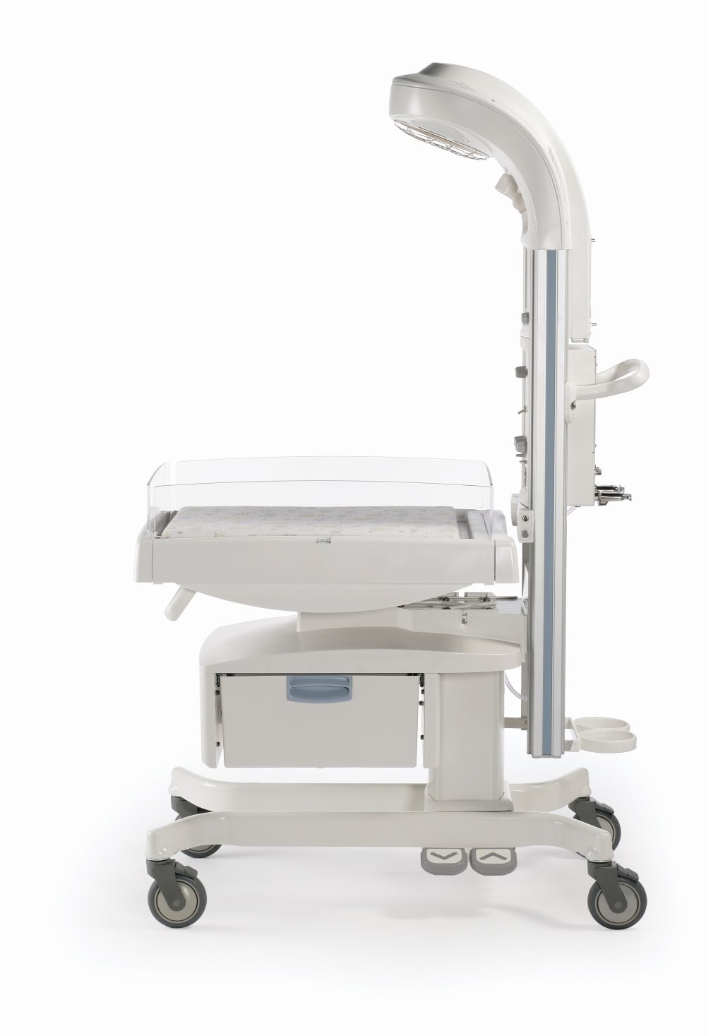 Image 1036 profile view